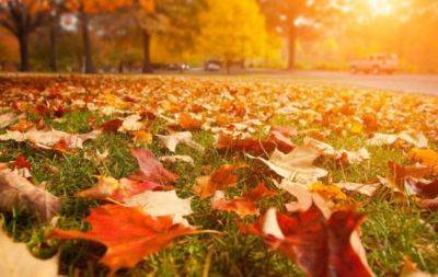 15 кращих пісень про осінь: атмосферна добірка, яка ідеально передає осінній настрій (ВІДЕО) - hochu.ua