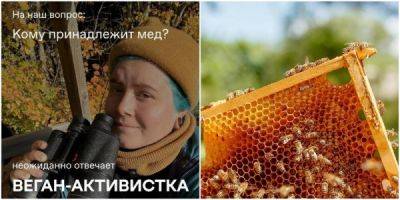 Рабство или предоставление рабочих мест? Пользователи сети спорят, кому принадлежит мёд пчёл - porosenka.net - республика Коми