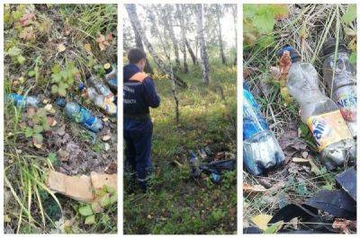 В лесу под Челябинском грибники нашли 10 кг ртути - porosenka.net - Челябинск