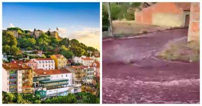 Река из вина в Португалии попала на видео - porosenka.net - Португалия