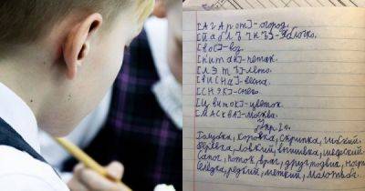 "Пишите, как я сказала!": в подмосковной школе учительницу ложно обвинили в безграмотности из-за… - porosenka.net - Москва