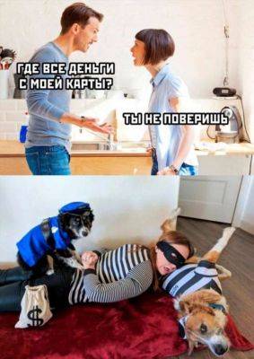 Мемы и картинки №10571214092023 - chert-poberi.ru