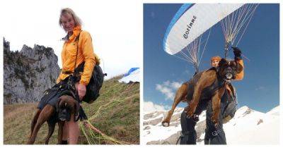 68-летняя женщина совершила около 500 полетов на параплане вместе со своими собаками - porosenka.net - Франция - Швейцария - Марокко