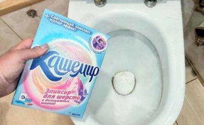 Зачем сыпать в унитаз стиральный порошок: 10 секретов опытных уборщиц - milayaya.ru