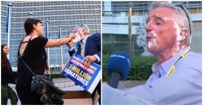 Экоактивистки ударили главу авиакомпании Ryanair пирогом в лицо - porosenka.net - Бельгия - Ирландия - Брюссель
