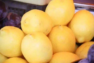 Зачем продвинутые хозяйки кладут лимон в микроволновку: 3 причины – полезно знать - lifehelper.one