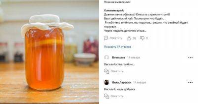 "Если гриб взял вас в заложники...": в соцсетях беспокоятся о Василии, который пообещал написать отзыв… - porosenka.net