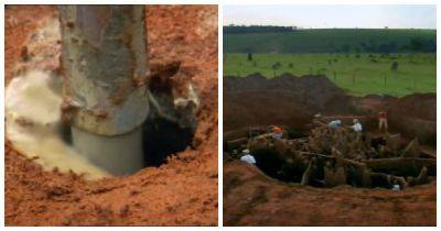 Ученые закачали цемент в заброшенный муравейник и обнаружили подземный мегаполис - porosenka.net - Бразилия