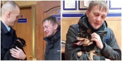 Полицейские опубликовали трогательное видео воссоединения пса Арчи с его хозяином - porosenka.net - Московская обл.