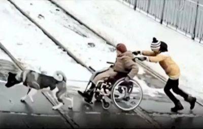 В Екатеринбурге мальчик с собакой спасли пенсионерку на инвалидной коляске, которая застряла на рельсах - porosenka.net - Екатеринбург