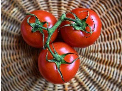 Почему вам надо включить томаты в свой рацион - shape.ru