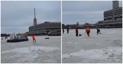 Спасателям пришлось отлавливать неадекватную девушку на льду Финского залива - porosenka.net - Санкт-Петербург