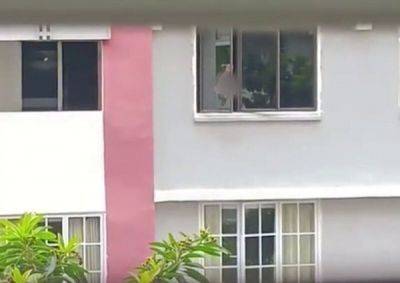 Женщина из Сингапура кричит по 10 раз в день в окно уже три месяца - porosenka.net - Сингапур
