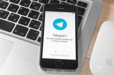 Как быстро и бесплатно привлечь подписчиков в Telegram-канал - ФОКУС ВНИМАНИЯ - fokus-vnimaniya.com