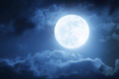Как лунный календарь влияет на посадки? - lifehelper.one
