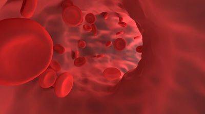 Гемоглобин: Жизненно важный белок в крови - new-lifehuck.ru