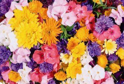 5 цветов, которые нельзя дарить любимым людям - lifehelper.one