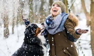 Ветеринар Лисичкина рассказала, сколько гулять с собакой зимой - milayaya.ru