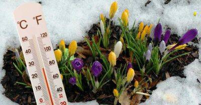 Грядет резкое потепление до +20 градусов, весна придет раньше, чем мы рассчитывали - takprosto.cc - Украина - республика Крым - Одесская обл.