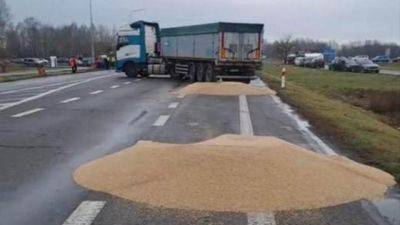«Низость и позор». Почему польские фермеры высыпали на дорогу украинское зерно и снова заблокировали границу - fokus-vnimaniya.com - Украина - Польша