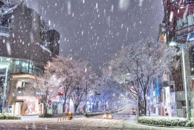 Есть пострадавшие: из-за снега в 2 сантиметра в Токио объявили тревогу - porosenka.net - Токио
