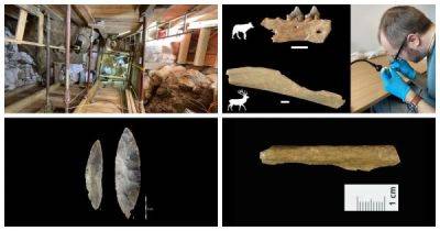 Максим Планк - В Германии нашли кости животных, съеденных человеком 45 000 лет назад - porosenka.net - Германия - Англия - Испания - Польша