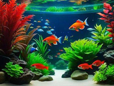 Что такое голландский аквариум - milayaya.ru