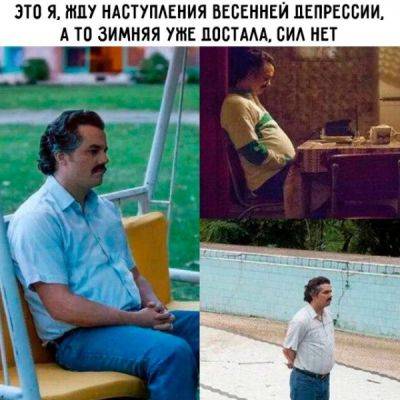 Шутки и мемы 14.03.2024 - porosenka.net