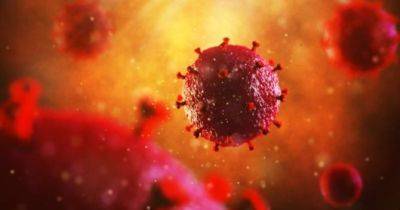 Нові технології проти ВІЛ. Нідерландські науковці стверджують, що вірус можна видалити з клітин - womo.ua