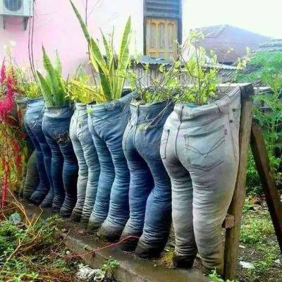 Когда у садовника есть чувство юмора. Смешной садовый дизайн — 16 фото - milayaya.ru
