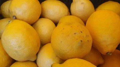 Антон Курчев - Как увеличить срок хранения разрезанного лимона: 3 простых способа - lifehelper.one