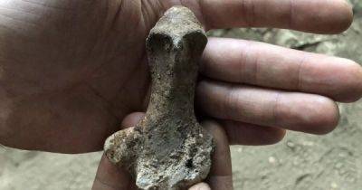 В Италии обнаружена глиняная фигурка возрастом 7000 лет - porosenka.net - Италия - Рим