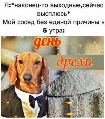 Шутки и мемы 30.04.2024 - porosenka.net