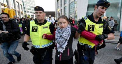 Грета Тунберг - Ґрету Тунберґ було затримано на пропалестинському мітингу проти участі Ізраїлю в Євробаченні - womo.ua - Швеция - Ізраїль