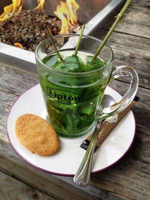 Полезные травяные чаи, способствующие укреплению здоровья - lifehelper.one