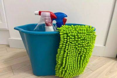 Марин Михалап - Как приготовить идеальное средство для уборки: в составе только доступные компоненты - belnovosti.by