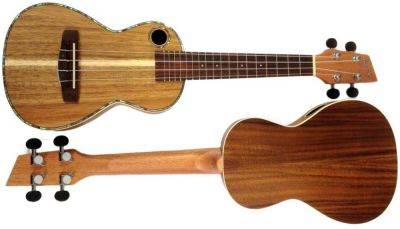 Основные различия между укулеле и акустической гитарой - lifehelper.one
