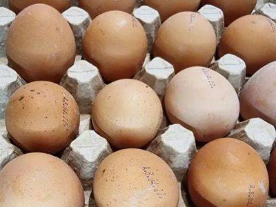 Тимур Хомичев - Кровинка в курином яйце: можно ли есть такие яйца или лучше отправить в мусорное ведро - belnovosti.by