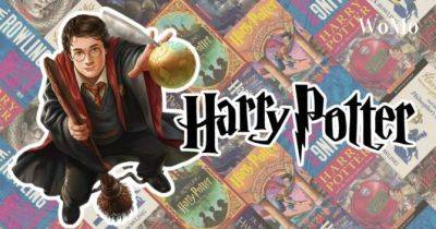 Гарри Поттер - Джоан Роулинг - «Гаррі Поттер і філософський камінь»: все, що варто знати кожному прихильнику - womo.ua