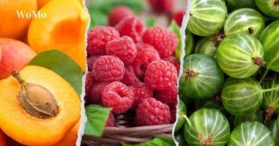 Варення на зиму з літніх ягід та фруктів: топ-5 найпростіших рецептів - womo.ua