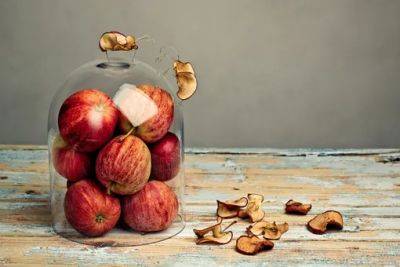 Только фрукты и ничего лишнего: как избавиться от надоедливых плодовых мошек? - liveinternet.ru