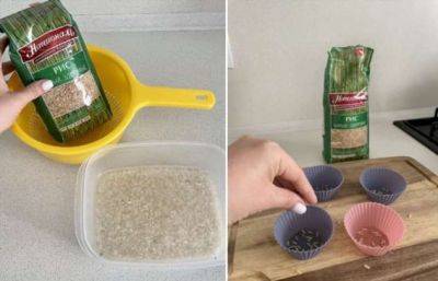 Как рис поможет в домашнем хозяйстве: 8 неожиданных способов использовать крупу в быту - milayaya.ru