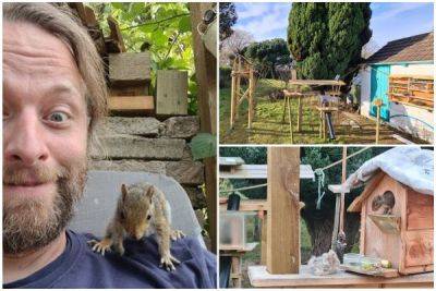Любитель животных построил миниатюрный развлекательный комплекс для зверушек в своем саду - porosenka.net
