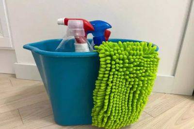 Можно ли мыть пол со стиральным порошком: опытные хозяйки по уборке раскрывают правду - belnovosti.by