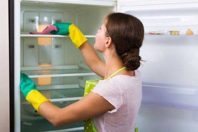 Никаких запахов не останется: чем вымыть холодильник после разморозки - nashsovetik.ru