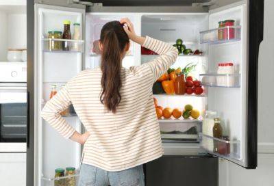 Как защитить холодильник от перепадов напряжения: 3 варианта - nashsovetik.ru