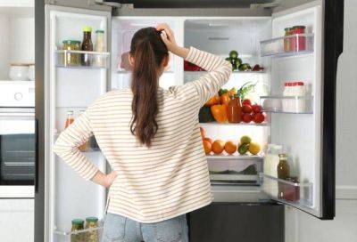 Как защитить холодильник от перепадов напряжения: 3 варианта - lifehelper.one