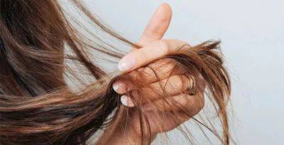 Как восстановить волосы в домашних условиях? - nashsovetik.ru