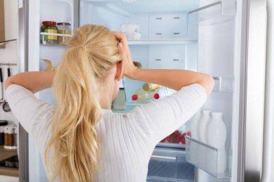 Холодильник не нужен даже в жару: эти продукты не испортятся без электричества - lifehelper.one