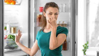 4-5 таблеток и никакого запаха: копеечный лайфхак для свежести в холодильнике - lifehelper.one